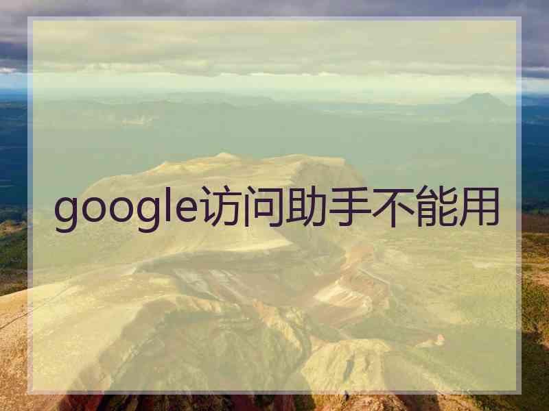 google访问助手不能用