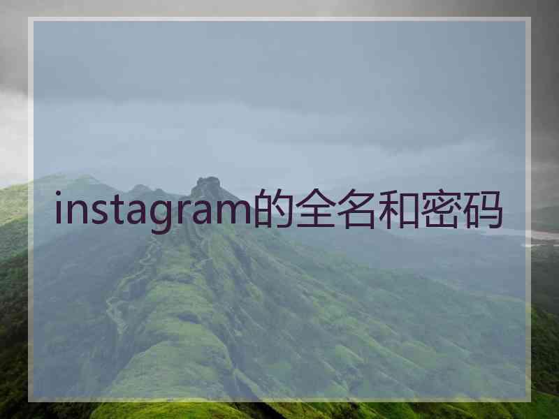 instagram的全名和密码