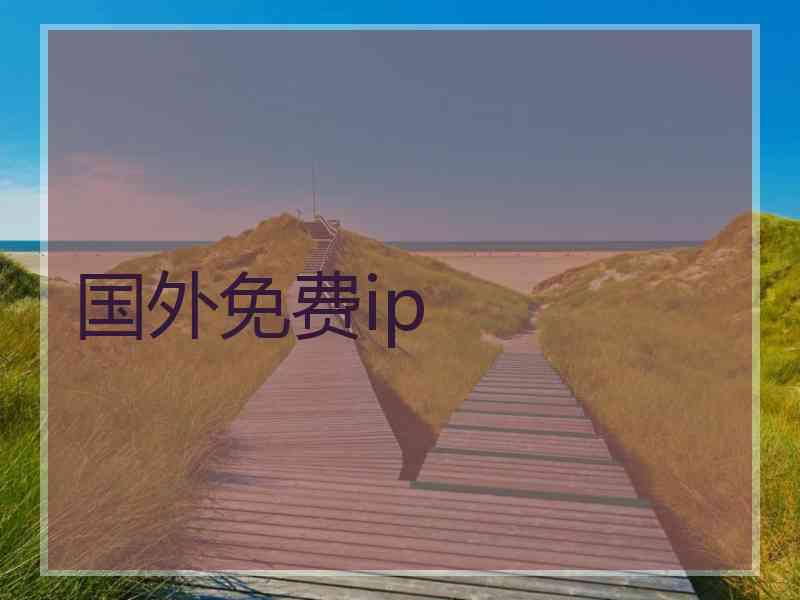 国外免费ip