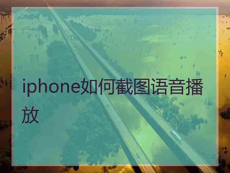 iphone如何截图语音播放