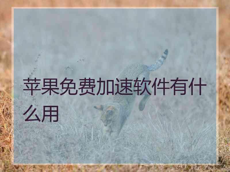 苹果免费加速软件有什么用