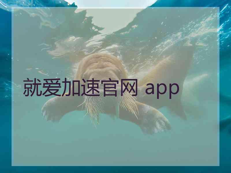 就爱加速官网 app