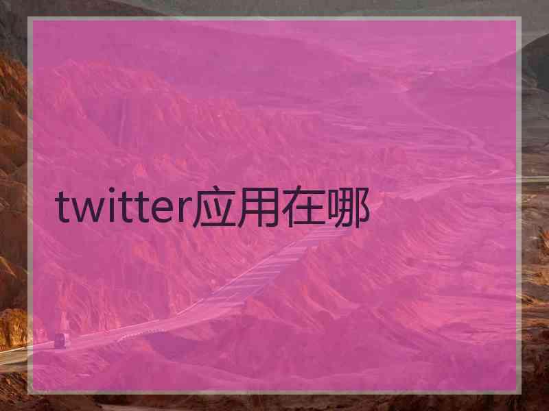 twitter应用在哪