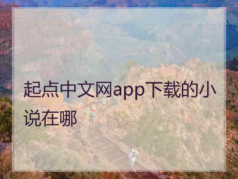 起点中文网app下载的小说在哪