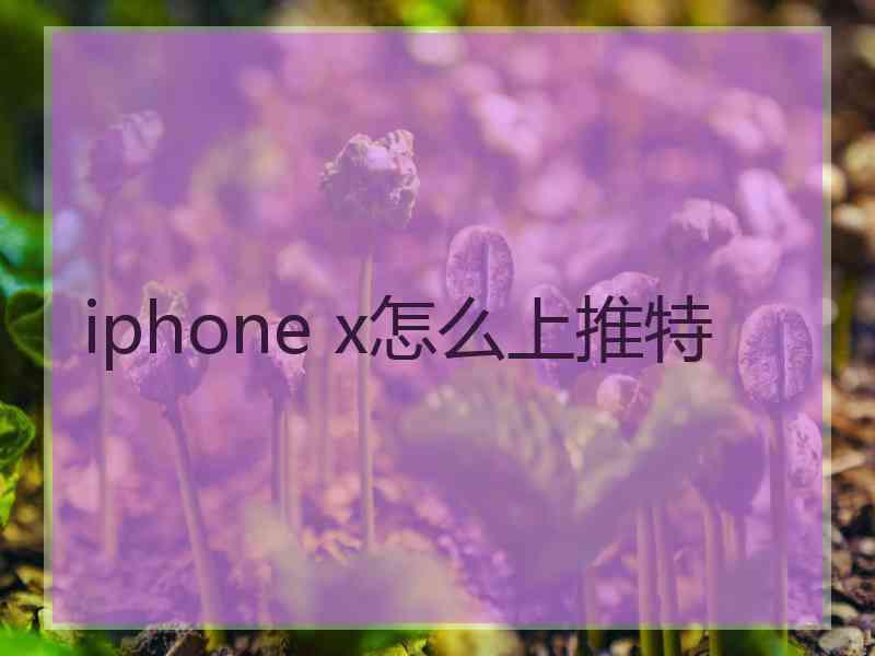 iphone x怎么上推特