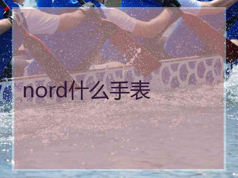 nord什么手表