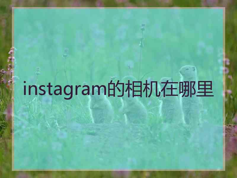 instagram的相机在哪里