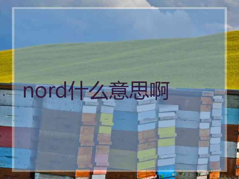 nord什么意思啊