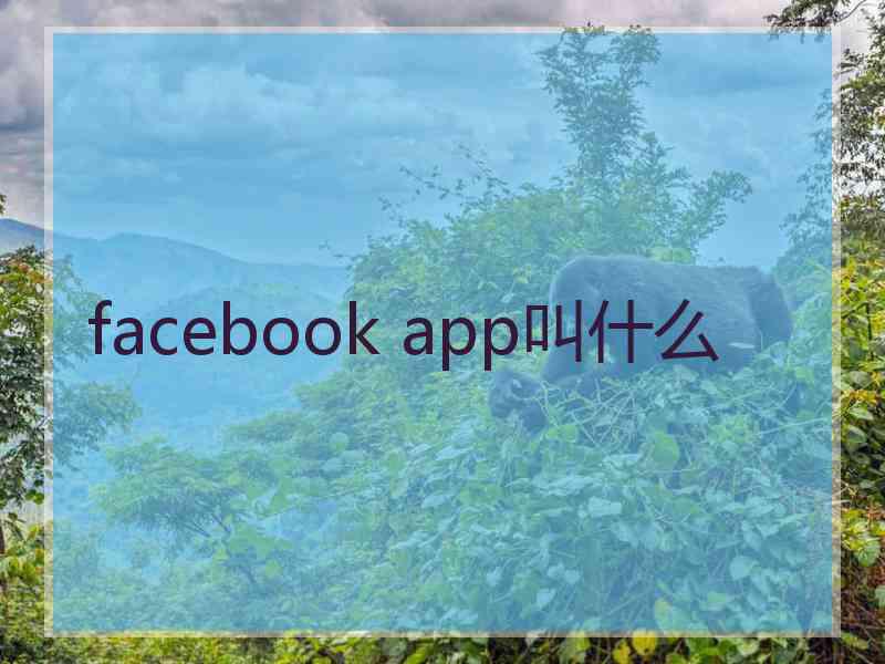 facebook app叫什么