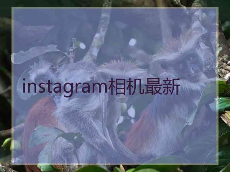 instagram相机最新