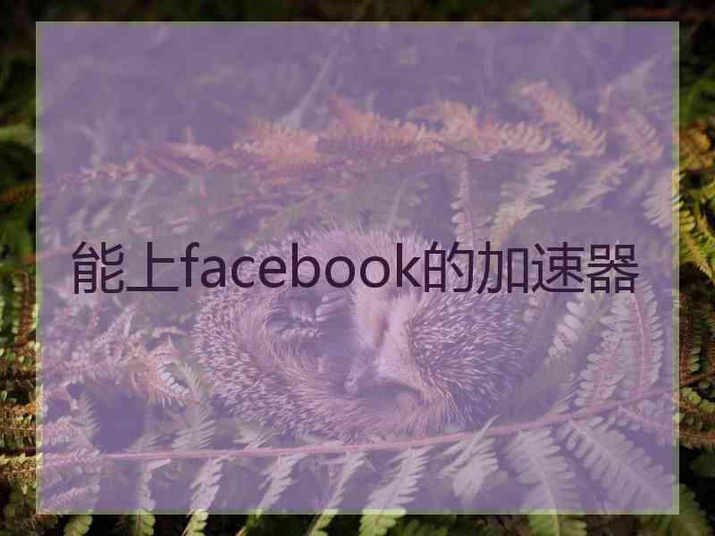 能上facebook的加速器