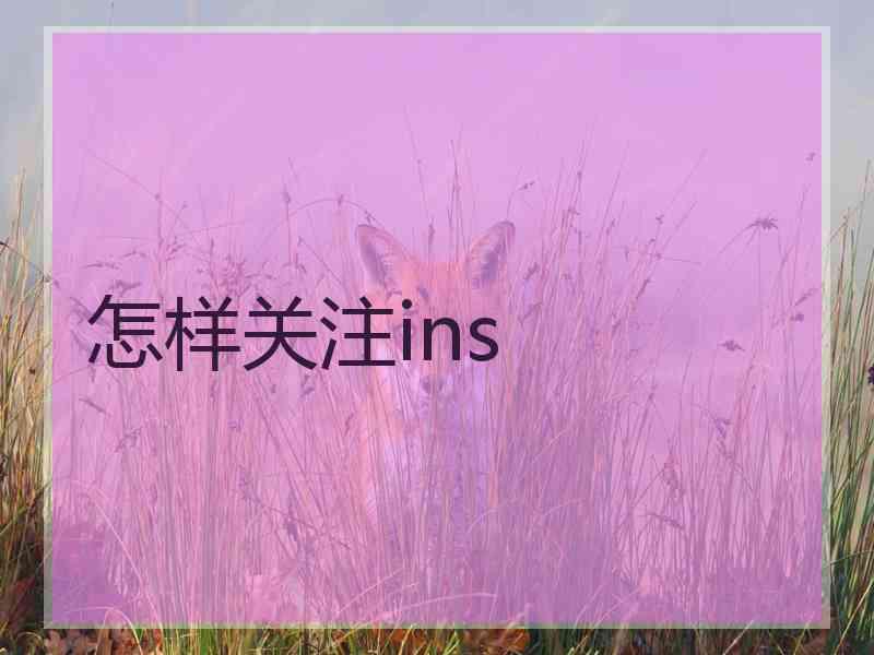 怎样关注ins