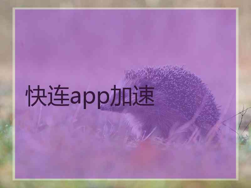 快连app加速