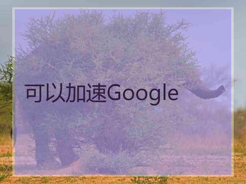 可以加速Google