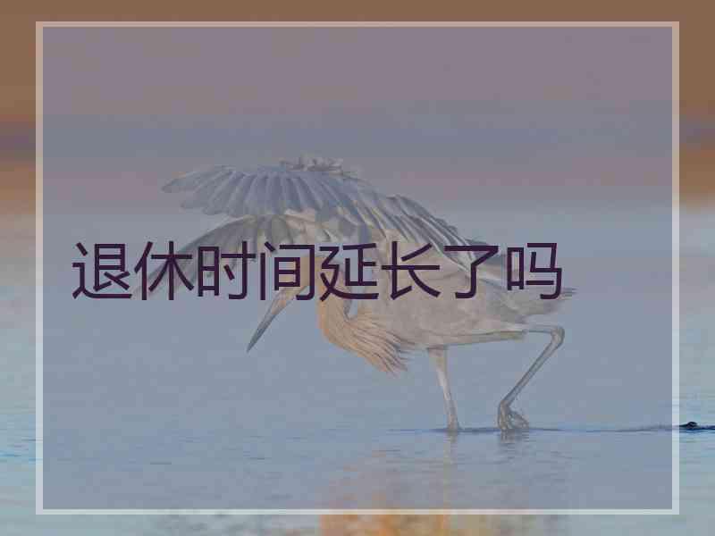 退休时间延长了吗