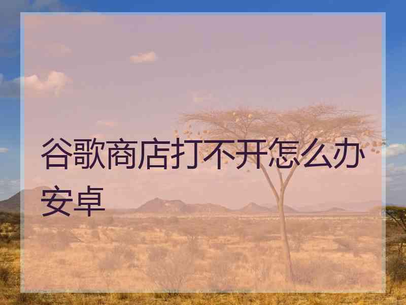 谷歌商店打不开怎么办安卓