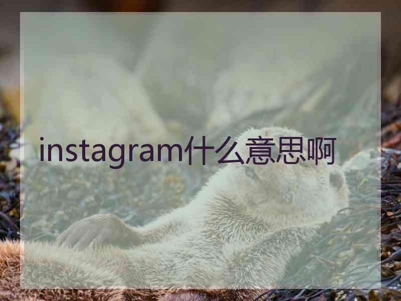 instagram什么意思啊