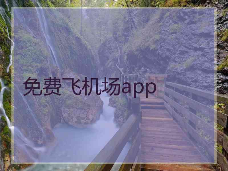 免费飞机场app