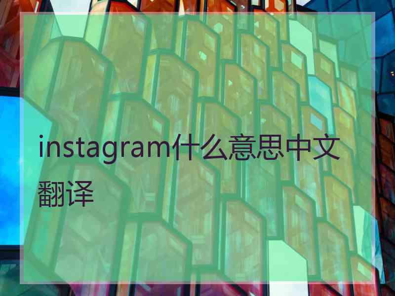 instagram什么意思中文翻译